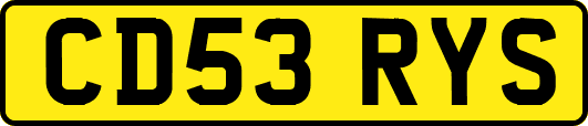 CD53RYS