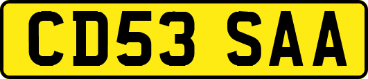CD53SAA