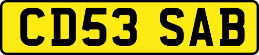 CD53SAB