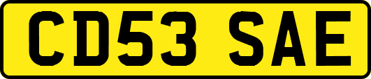 CD53SAE