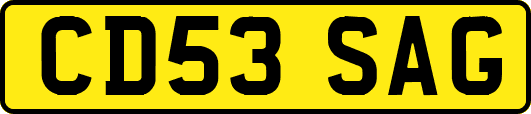 CD53SAG