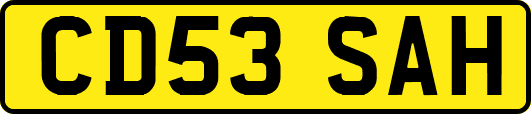 CD53SAH