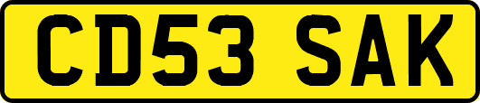 CD53SAK