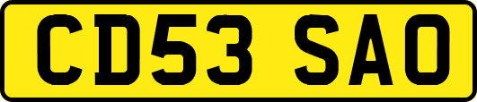 CD53SAO