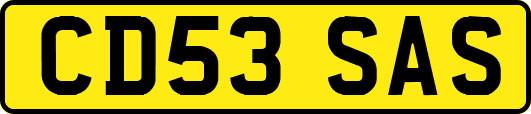 CD53SAS