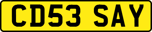 CD53SAY