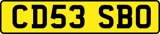 CD53SBO