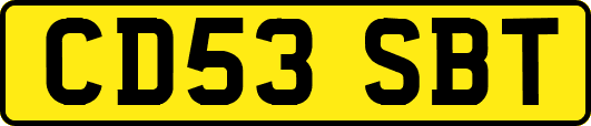 CD53SBT