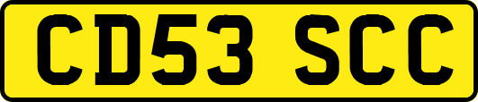 CD53SCC