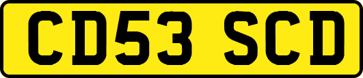 CD53SCD