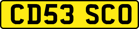 CD53SCO