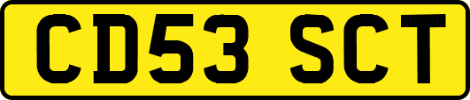CD53SCT