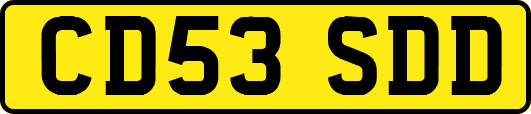 CD53SDD