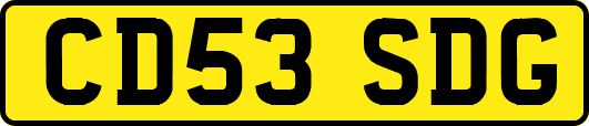 CD53SDG