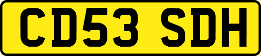 CD53SDH