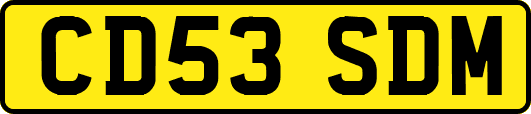 CD53SDM