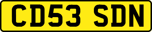 CD53SDN