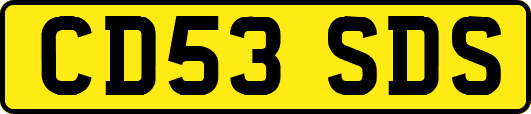 CD53SDS