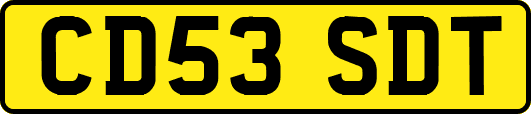 CD53SDT
