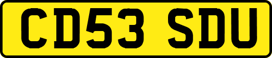CD53SDU
