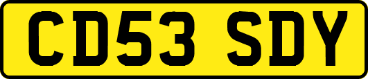 CD53SDY