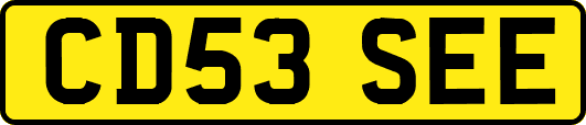 CD53SEE