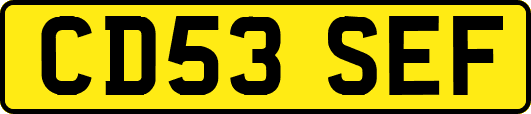 CD53SEF