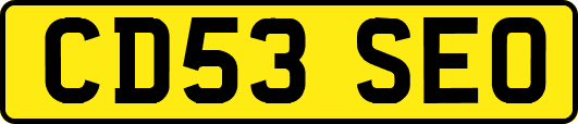 CD53SEO