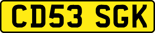 CD53SGK