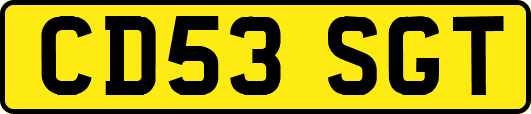 CD53SGT