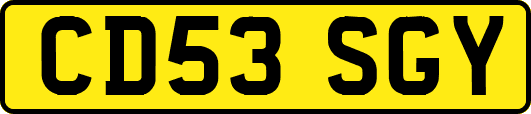 CD53SGY