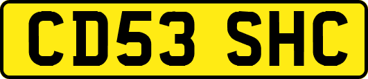 CD53SHC