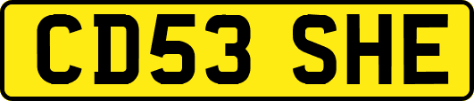 CD53SHE