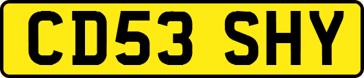 CD53SHY
