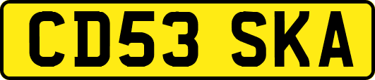 CD53SKA