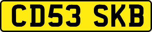 CD53SKB