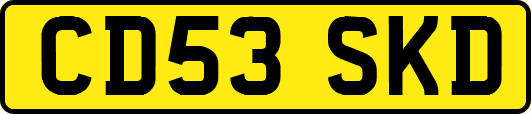 CD53SKD