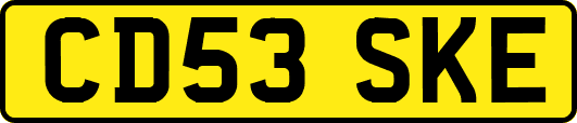 CD53SKE