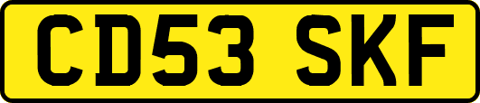 CD53SKF