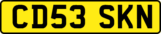 CD53SKN