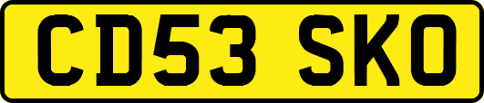 CD53SKO