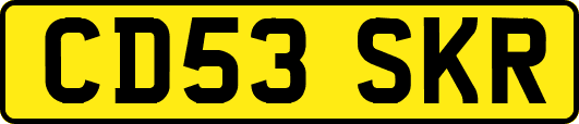 CD53SKR