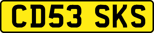 CD53SKS