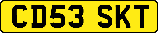 CD53SKT