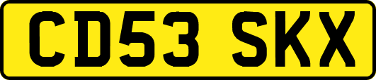CD53SKX