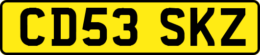 CD53SKZ