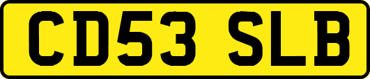 CD53SLB