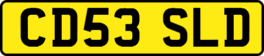 CD53SLD