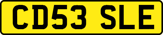 CD53SLE