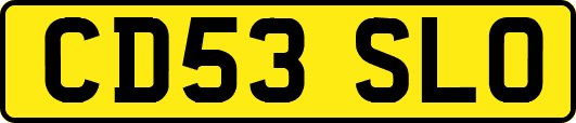 CD53SLO